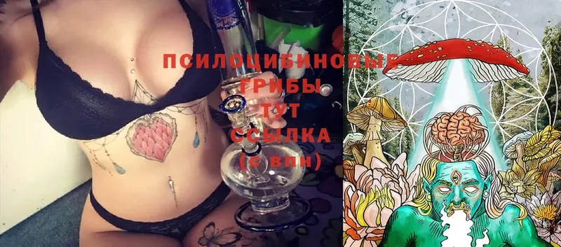 mega как зайти  Бугуруслан  Псилоцибиновые грибы Magic Shrooms  где купить наркотик 